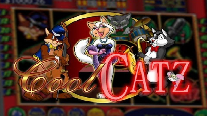 Cool Cat Casino